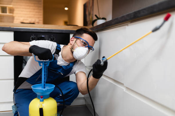 Best Pest Control for Homes  in Junction City, KS