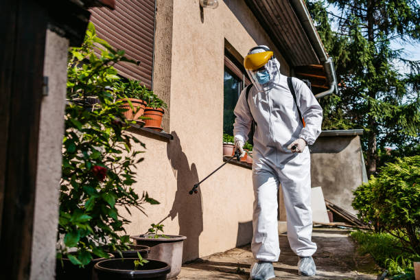 Best Rat Extermination Near Me  in Junction City, KS
