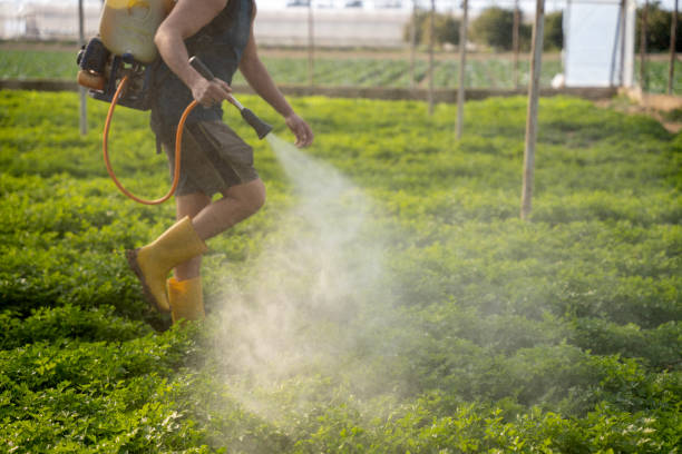 Best Best Pest Control Companies  in Junction City, KS