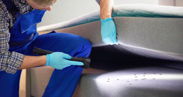 Best Residential Pest Control  in Junction City, KS