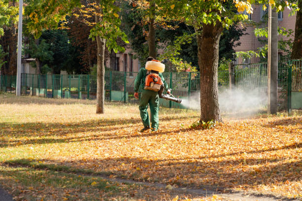 Best Pest Prevention Services  in Junction City, KS