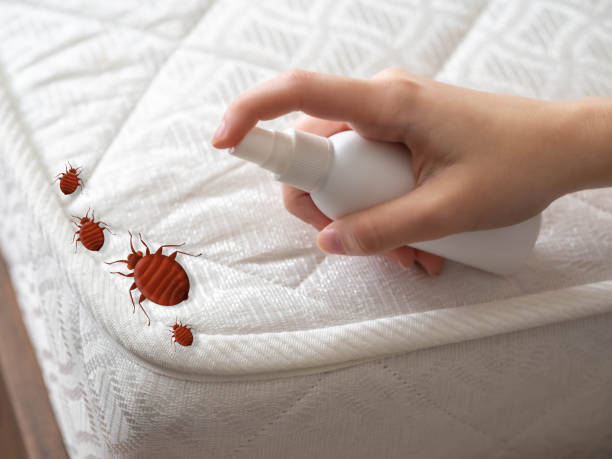Best Pest Removal Services  in Junction City, KS