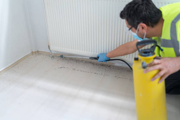 Best Pest Control Near Me  in Junction City, KS
