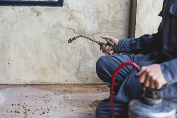 Best Affordable Pest Control Services  in Junction City, KS